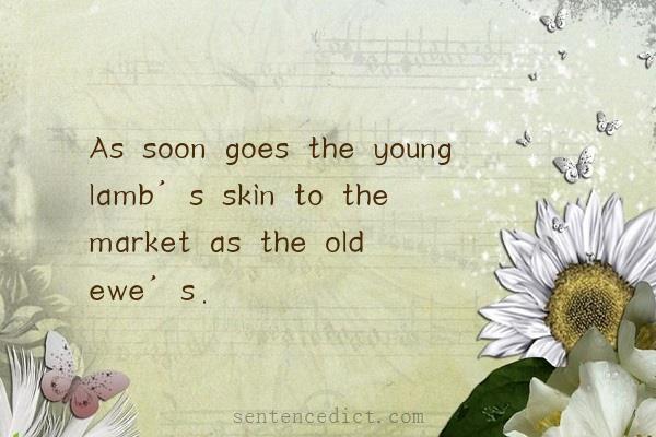 Good sentence's beautiful picture_As soon goes the young lamb’s skin to the market as the old ewe’s.