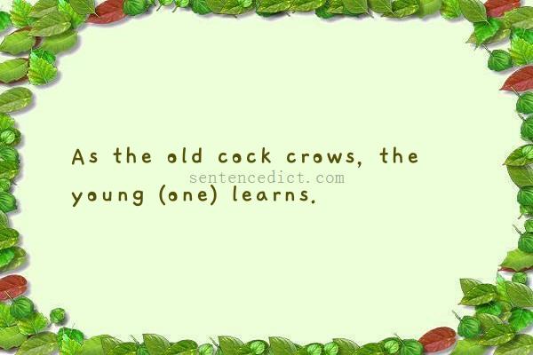 Good sentence's beautiful picture_As the old cock crows, the young (one) learns.