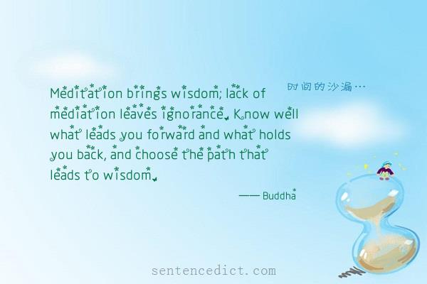 Good sentence's beautiful picture_Meditation brings wisdom; lack of mediation leaves ignorance. Know well what leads you forward and what holds you back, and choose the path that leads to wisdom.