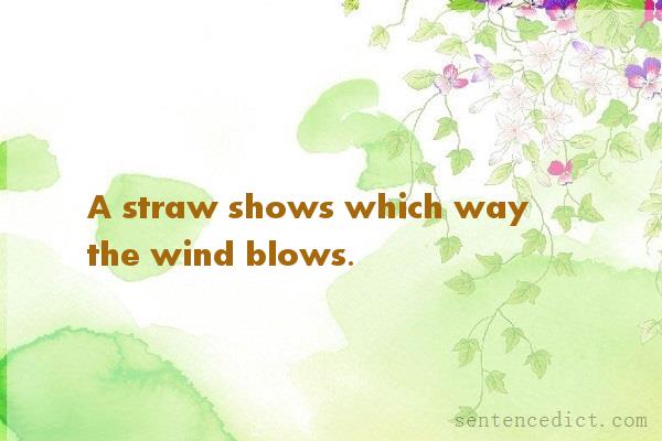 Good sentence's beautiful picture_A straw shows which way the wind blows.