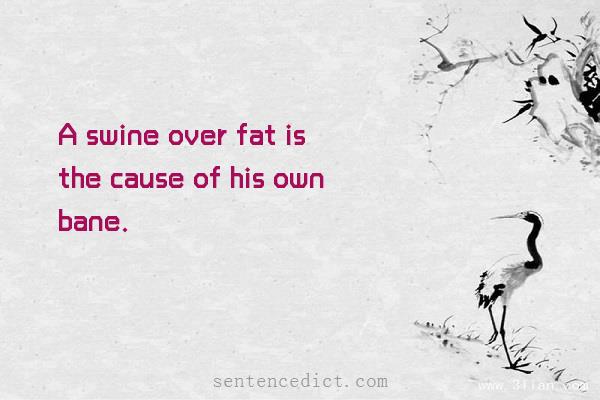 Good sentence's beautiful picture_A swine over fat is the cause of his own bane.