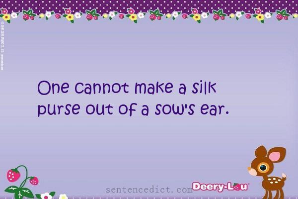 Good sentence's beautiful picture_One cannot make a silk purse out of a sow's ear.