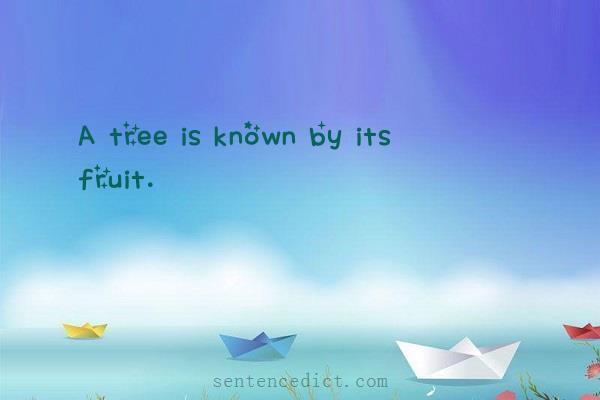 Good sentence's beautiful picture_A tree is known by its fruit.