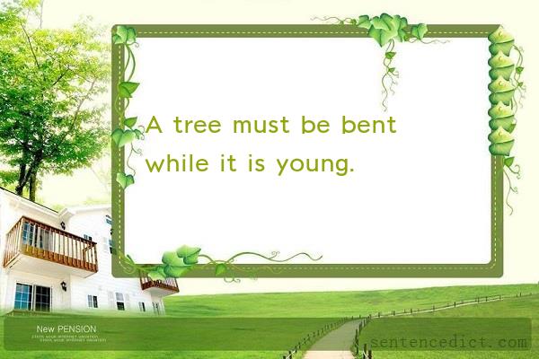 Good sentence's beautiful picture_A tree must be bent while it is young.