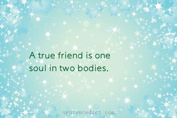 Good sentence's beautiful picture_A true friend is one soul in two bodies.