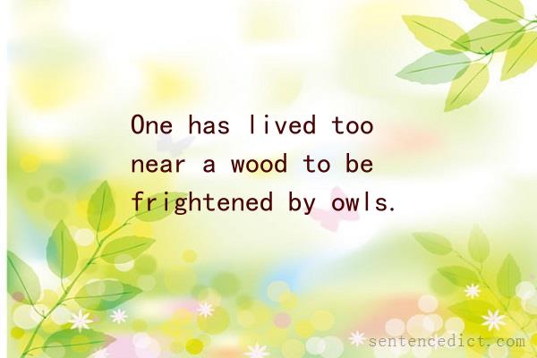 Good sentence's beautiful picture_One has lived too near a wood to be frightened by owls.