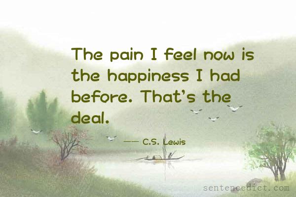 Good sentence's beautiful picture_The pain I feel now is the happiness I had before. That's the deal.