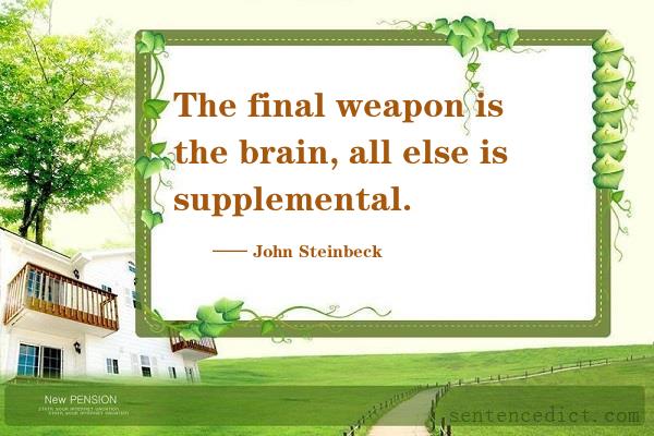 Good sentence's beautiful picture_The final weapon is the brain, all else is supplemental.