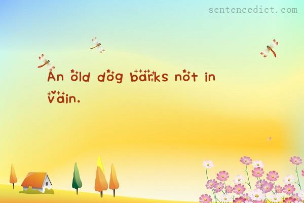Good sentence's beautiful picture_An old dog barks not in vain.