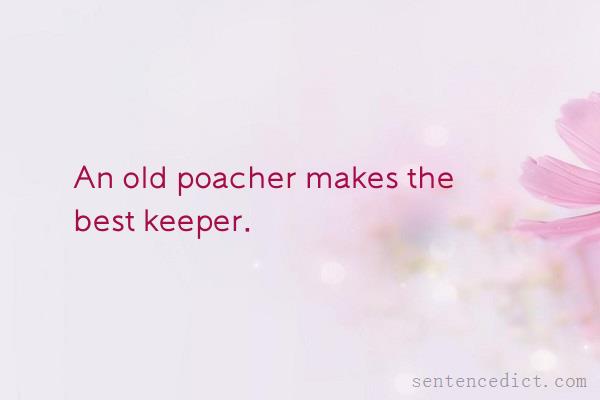 Good sentence's beautiful picture_An old poacher makes the best keeper.