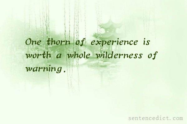 Good sentence's beautiful picture_One thorn of experience is worth a whole wilderness of warning.