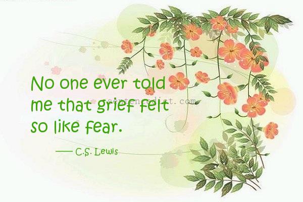 Good sentence's beautiful picture_No one ever told me that grief felt so like fear.
