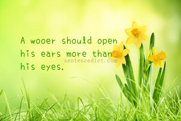 Good sentence's beautiful picture_A wooer should open his ears more than his eyes.