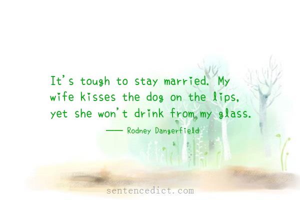 Good sentence's beautiful picture_It's tough to stay married. My wife kisses the dog on the lips, yet she won't drink from my glass.