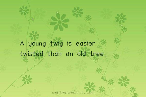 Good sentence's beautiful picture_A young twig is easier twisted than an old tree.
