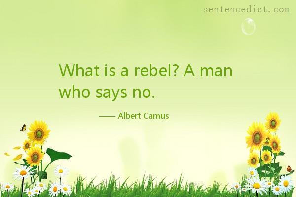 Good sentence's beautiful picture_What is a rebel? A man who says no.