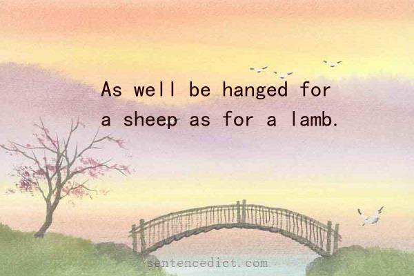 Good sentence's beautiful picture_As well be hanged for a sheep as for a lamb.