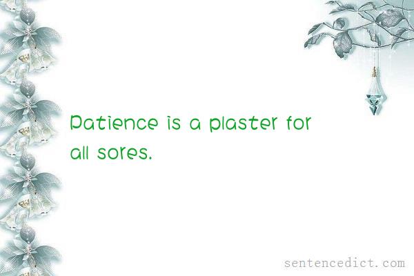 Good sentence's beautiful picture_Patience is a plaster for all sores.