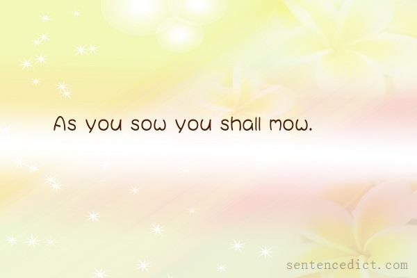 Good sentence's beautiful picture_As you sow you shall mow.