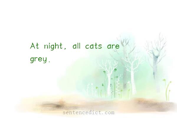 Good sentence's beautiful picture_At night, all cats are grey.