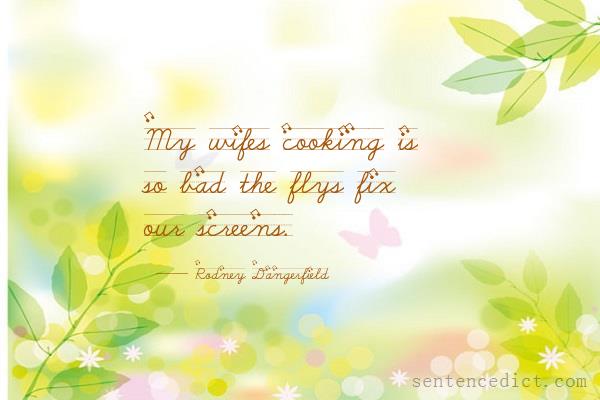 Good sentence's beautiful picture_My wifes cooking is so bad the flys fix our screens.