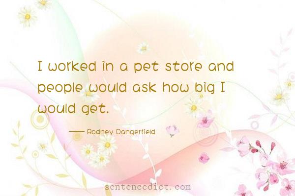 Good sentence's beautiful picture_I worked in a pet store and people would ask how big I would get.