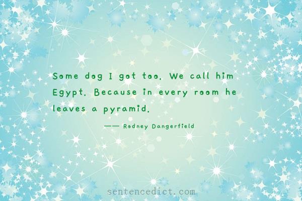 Good sentence's beautiful picture_Some dog I got too. We call him Egypt. Because in every room he leaves a pyramid.
