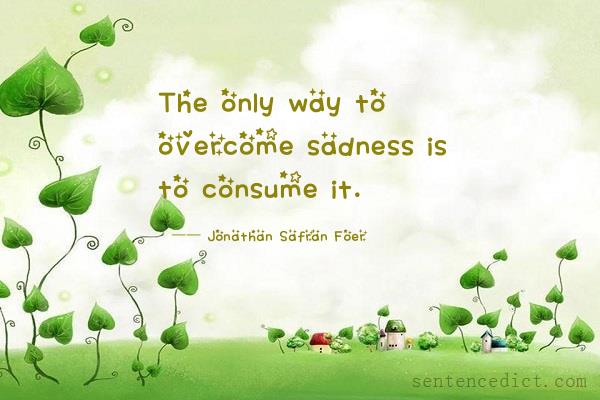 Good sentence's beautiful picture_The only way to overcome sadness is to consume it.