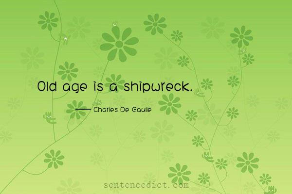 Good sentence's beautiful picture_Old age is a shipwreck.