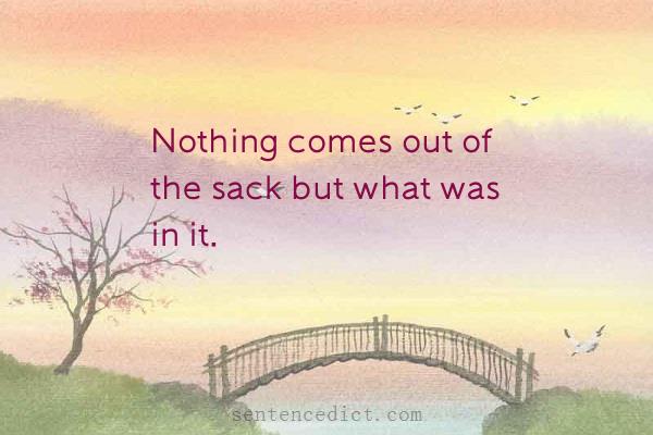 Good sentence's beautiful picture_Nothing comes out of the sack but what was in it.