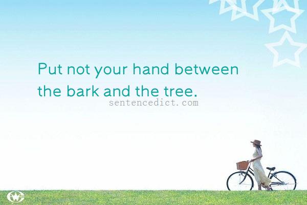 Good sentence's beautiful picture_Put not your hand between the bark and the tree.