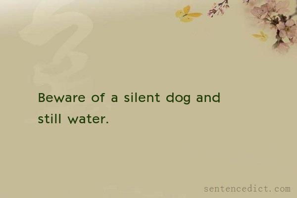 Good sentence's beautiful picture_Beware of a silent dog and still water.