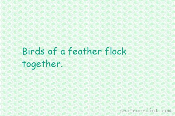 Good sentence's beautiful picture_Birds of a feather flock together.