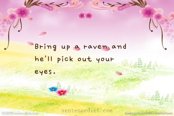 Good sentence's beautiful picture_Bring up a raven and he'll pick out your eyes.