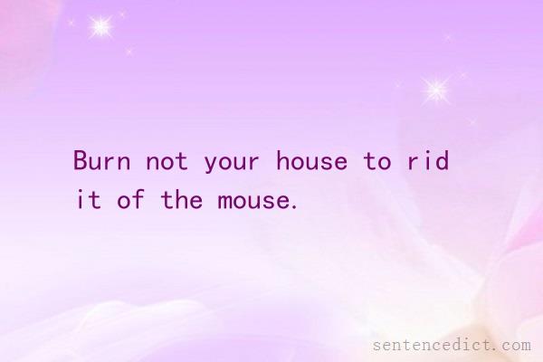 Good sentence's beautiful picture_Burn not your house to rid it of the mouse.