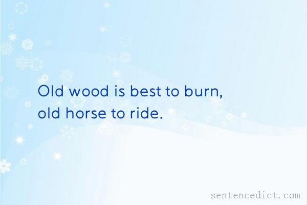 Good sentence's beautiful picture_Old wood is best to burn, old horse to ride.