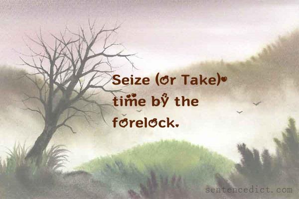 Good sentence's beautiful picture_Seize (or Take) time by the forelock.