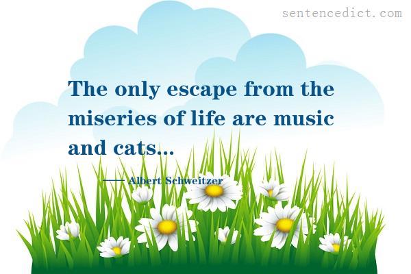 Good sentence's beautiful picture_The only escape from the miseries of life are music and cats...