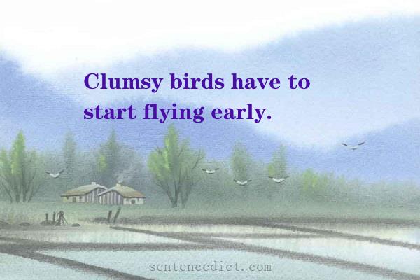Good sentence's beautiful picture_Clumsy birds have to start flying early.