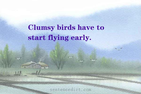 good-sentence-appreciation-clumsy-birds-have-to-start-flying-early