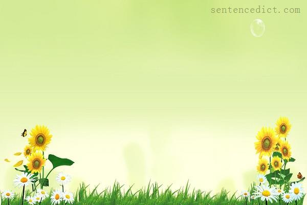Good sentence's beautiful picture_Innocence is always unsuspicious.
