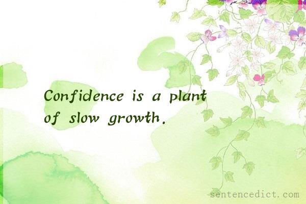 Good sentence's beautiful picture_Confidence is a plant of slow growth.
