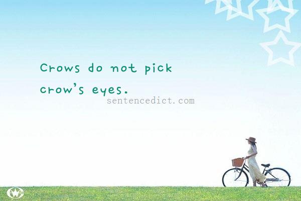 Good sentence's beautiful picture_Crows do not pick crow’s eyes.
