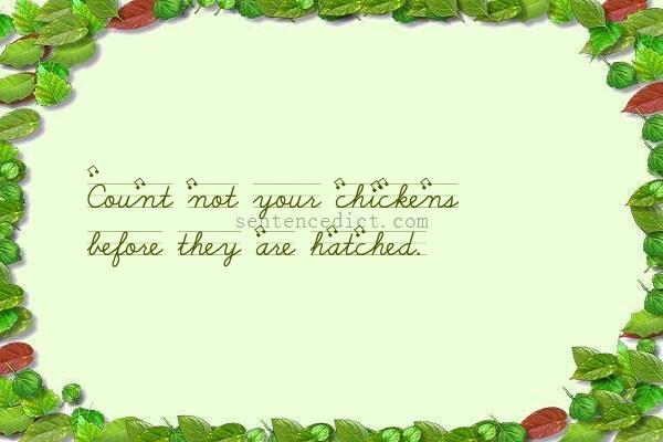 Good sentence's beautiful picture_Count not your chickens before they are hatched.