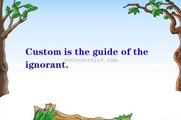 Good sentence's beautiful picture_Custom is the guide of the ignorant.