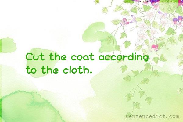 Good sentence's beautiful picture_Cut the coat according to the cloth.