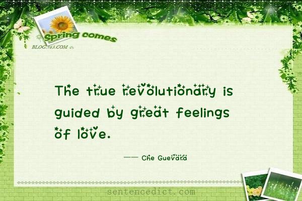 Good sentence's beautiful picture_The true revolutionary is guided by great feelings of love.