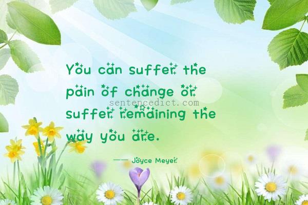 Good sentence's beautiful picture_You can suffer the pain of change or suffer remaining the way you are.