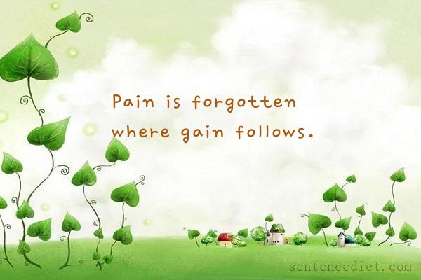 Good sentence's beautiful picture_Pain is forgotten where gain follows.