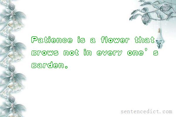 Good sentence's beautiful picture_Patience is a flower that grows not in every one’s garden.